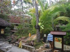 -三亚珠江南田温泉度假区