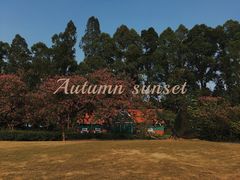 景点-南沙蒲洲花园