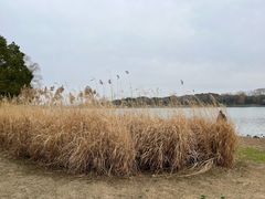 -长广溪湿地公园