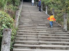 -铁山坪森林公园