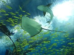 -福州罗源湾海洋世界旅游区