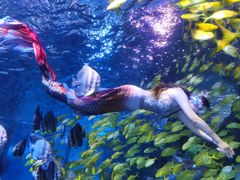 -太平洋海底世界