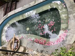 -天明山温泉大酒店