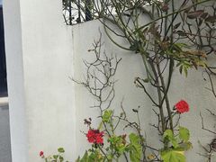 -乌石塘景区