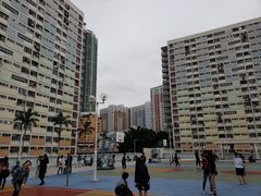 -彩虹村