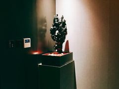 -桐寿司Sushi Tong