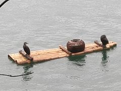 -零陵古城