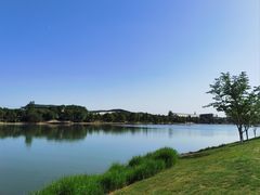 -羊山湖公园
