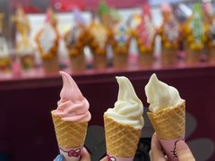 -汕头中海黄金海岸水上乐园