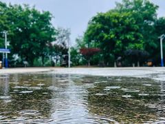 -北京张裕爱斐堡酒庄