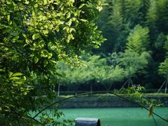 -宜兴龙背山森林公园