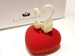 -BLACKSWAN黑天鹅(环球店)