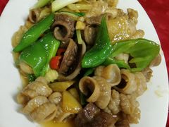尖椒炒鱼肠-蛇口康乐快餐鱼仔档(翠苑小区店)