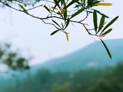 -北辰山景区