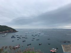 -枸杞岛