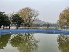 -上海佘山世茂艾美酒店