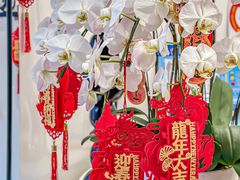 -杜哈夫DOUX RÊVE·生日蛋糕(日月光店)