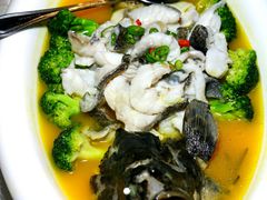 -新悦·霞浦海鲜生(上下杭店)