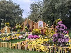 -上海共青森林公园