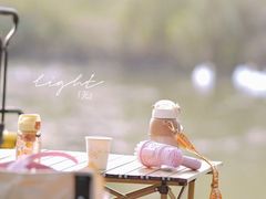 -贡湖湾湿地公园