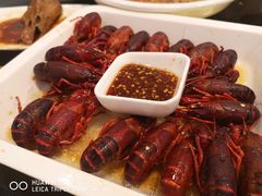 -不炭白烧烤(成都首店)