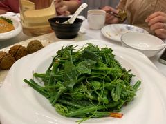 凉拌丝瓜尖-泉味道贵州厨房(三里河店)