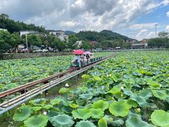 -红山村