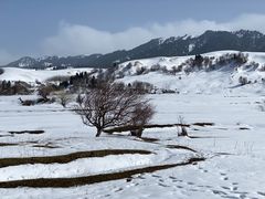 -新疆那拉提国家旅游度假区