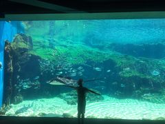 -西海国立公园九十九岛水族馆
