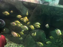 -苏州海洋馆