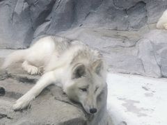 -海合安青岛极地海洋公园
