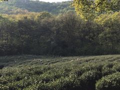-南山风景名胜区