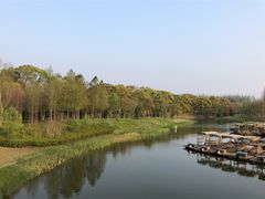 -上海长兴岛郊野公园