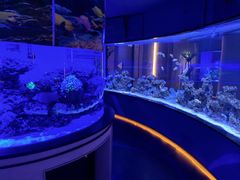 -上和臻品中国菜(花园街店)