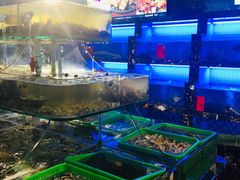 -友强·23年特色海鲜大排档(厦门店)