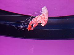 -沈阳海洋探索中心