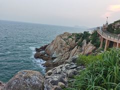 -广东惠东海龟国家级自然保护区
