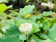 -清晏园