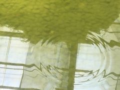 -上海都市菜园