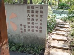 -青枫公园