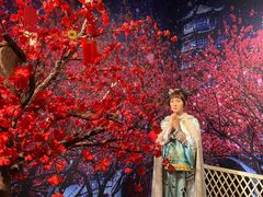 -武汉杜莎夫人蜡像馆