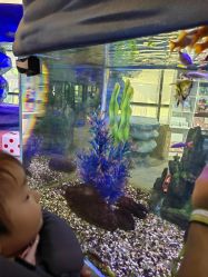 -酷嗒动物文化乐园(cutezoo西溪乐天城店)