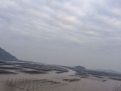 -北岐滩涂
