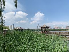 -莲花池公园
