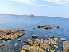 -养马岛旅游度假区