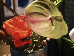 -和子足浴SPA会馆(东方之门店)