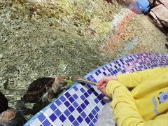 -顺德南宏海立方海洋公园