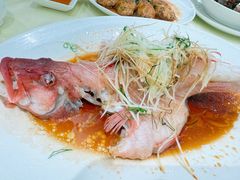 -兴悦酒家(环市东路店)