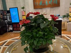 门面-顺风海鲜港(金玉兰店)