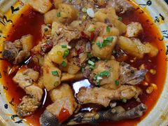 -青城甲(青城山店)